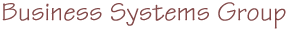 Business Systems Group